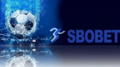 9bet apostas esportivas 
